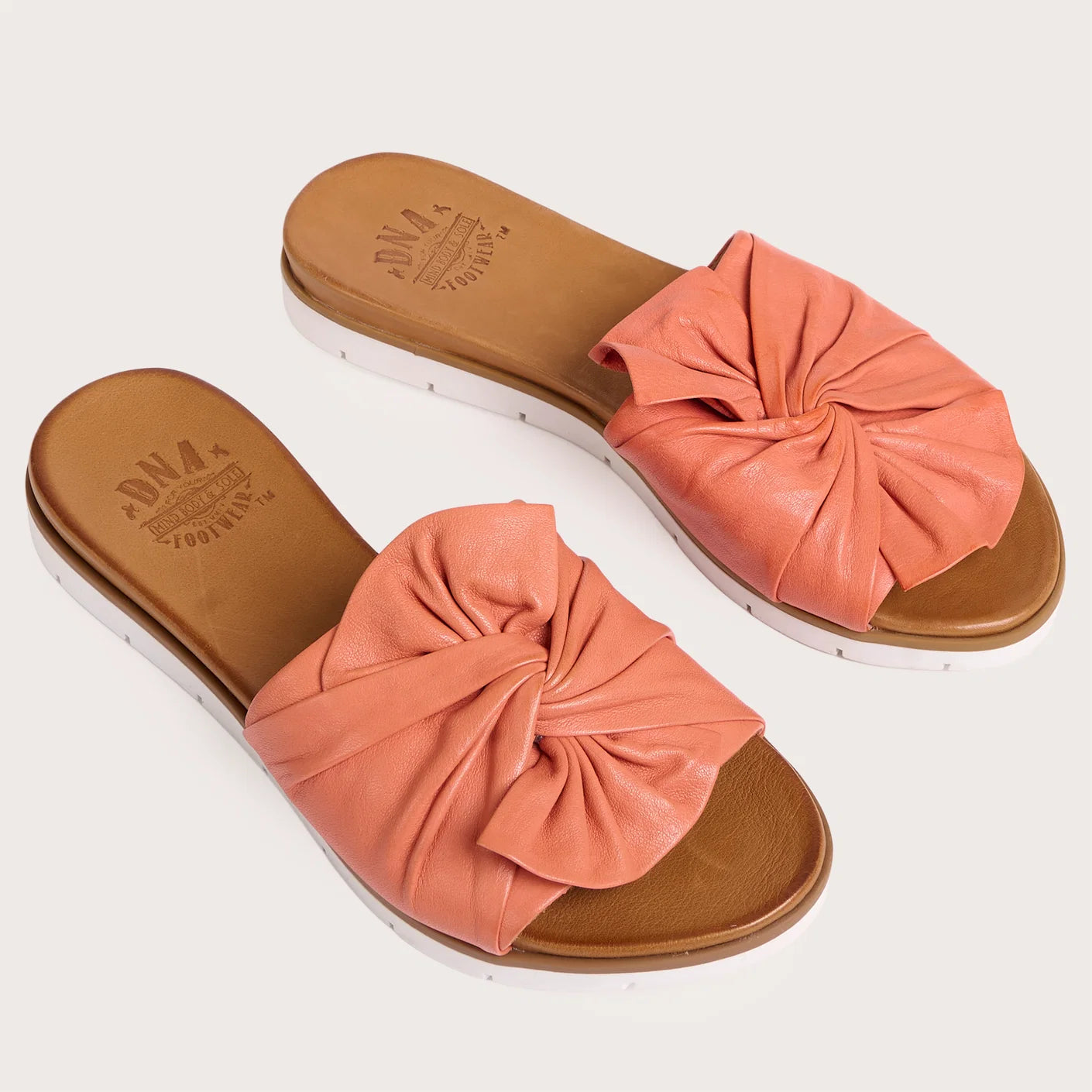 Coral Poly Slides