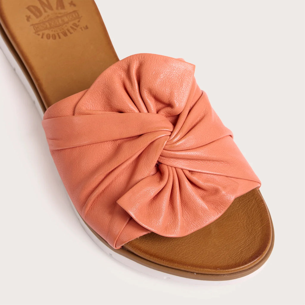 Coral Poly Slides