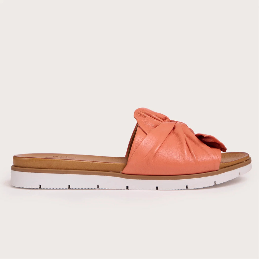 Coral Poly Slides
