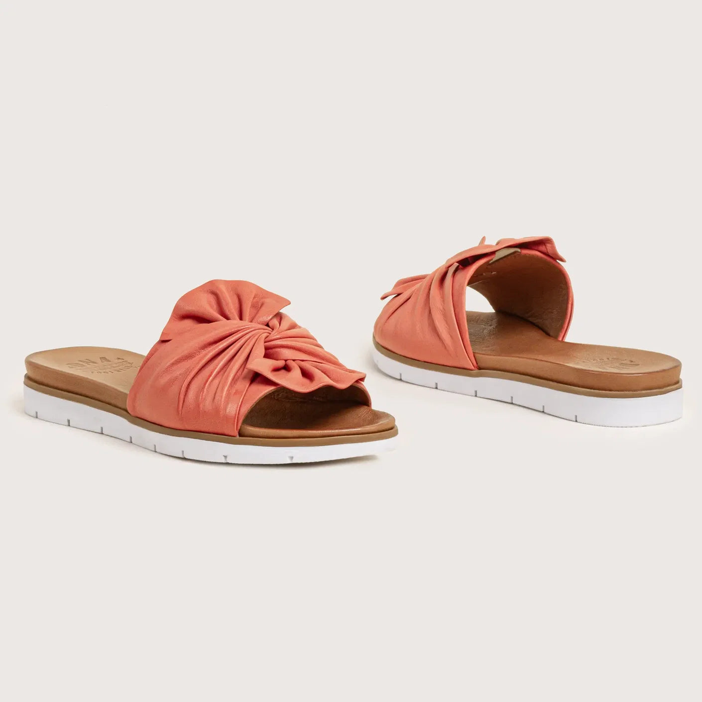 Coral Poly Slides