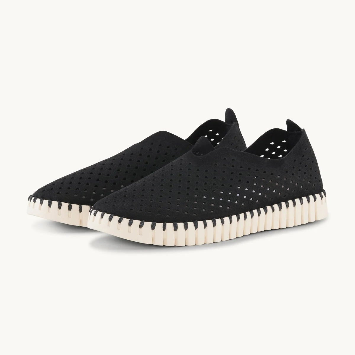 Black Tulip Flats