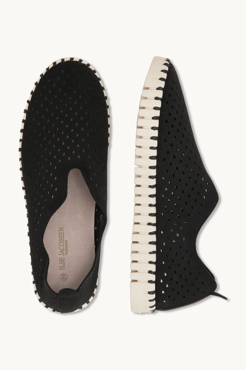 Black Tulip Flats