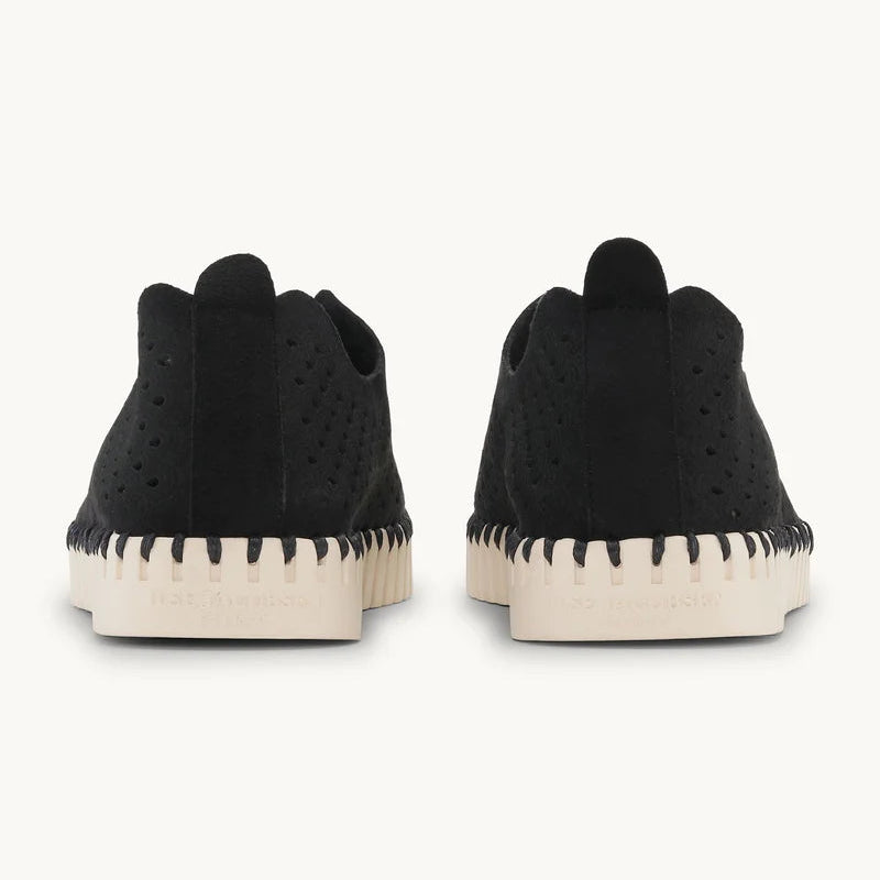 Black Tulip Flats