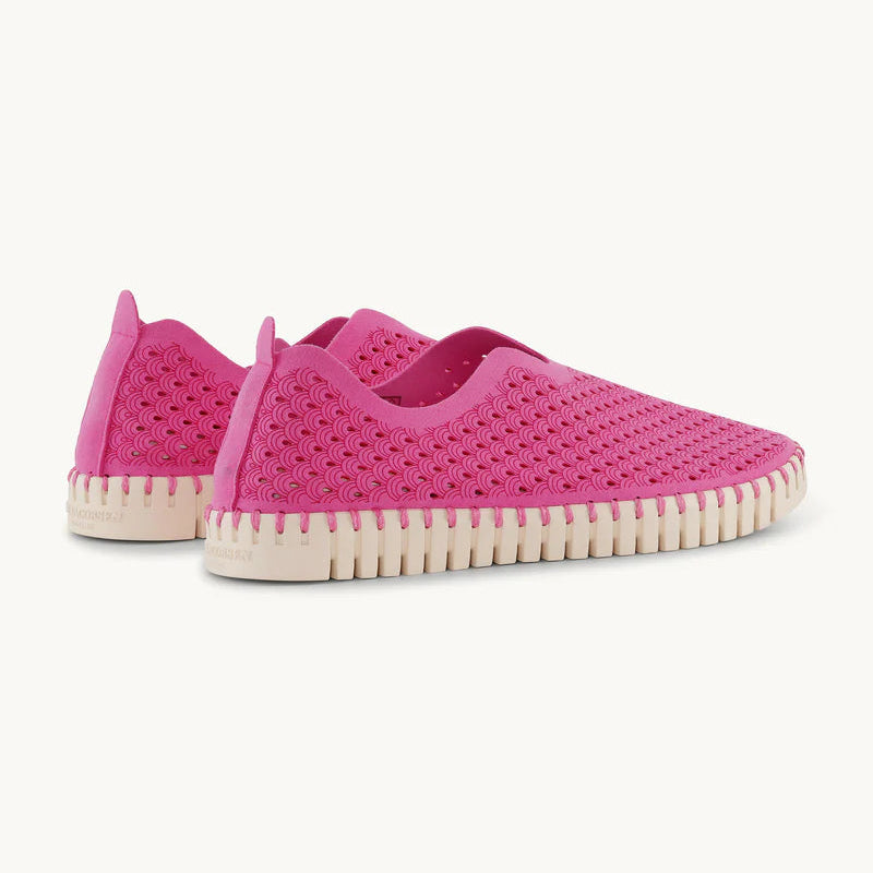 Rose Violet Tulip Flats