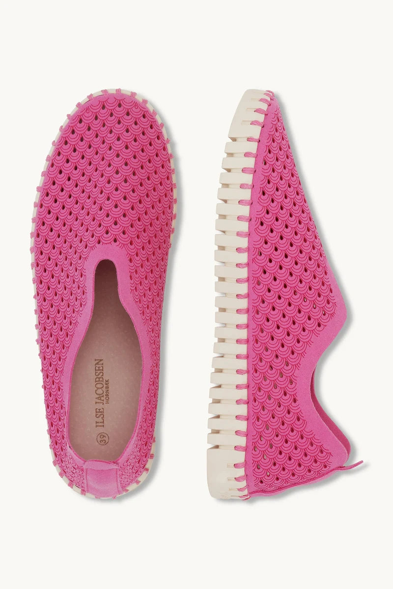 Rose Violet Tulip Flats