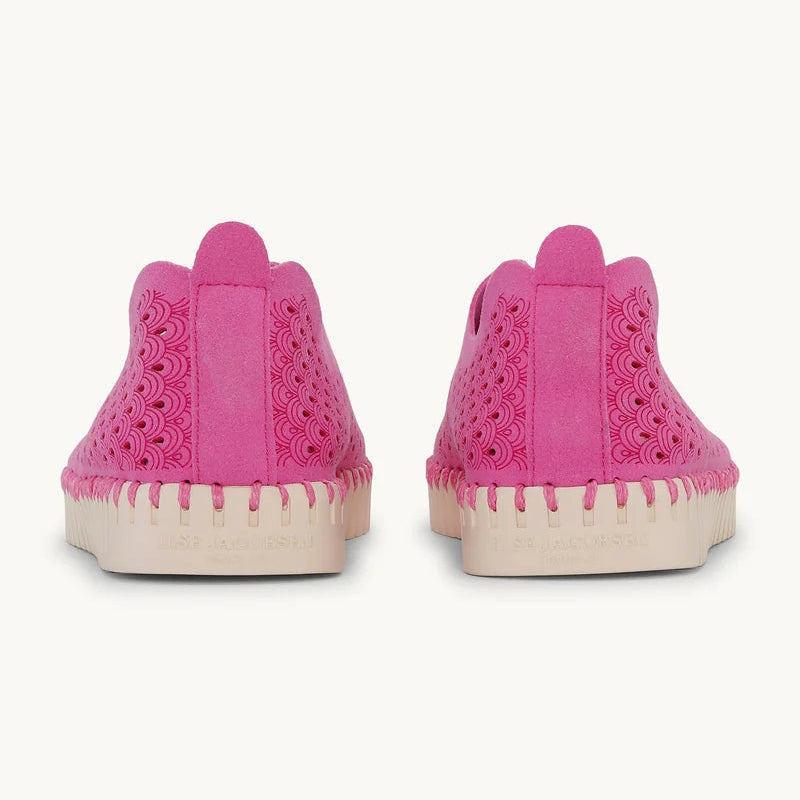 Rose Violet Tulip Flats